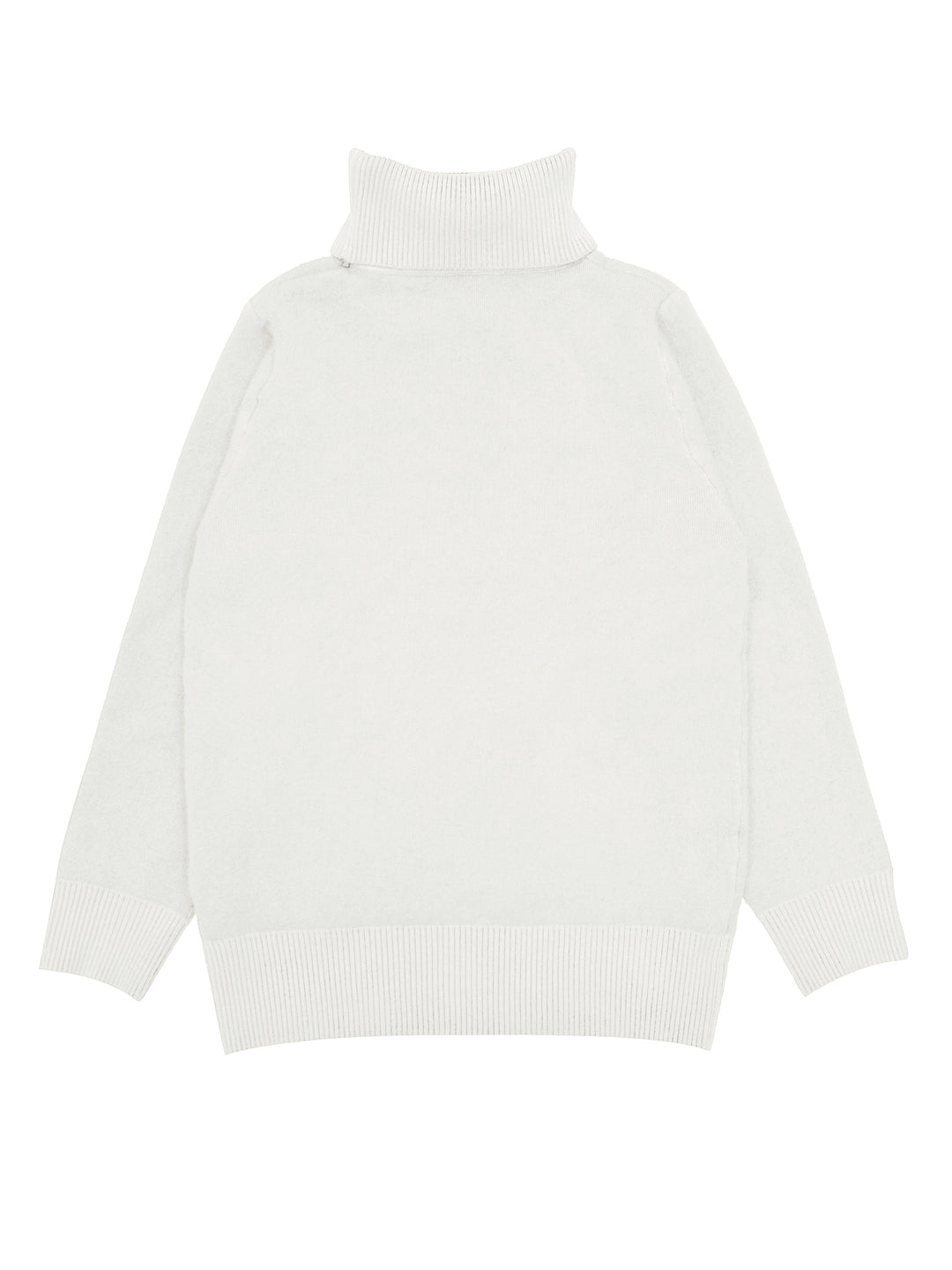 Women's High Neck Turtleneck Sweater Pullover Casual Wear